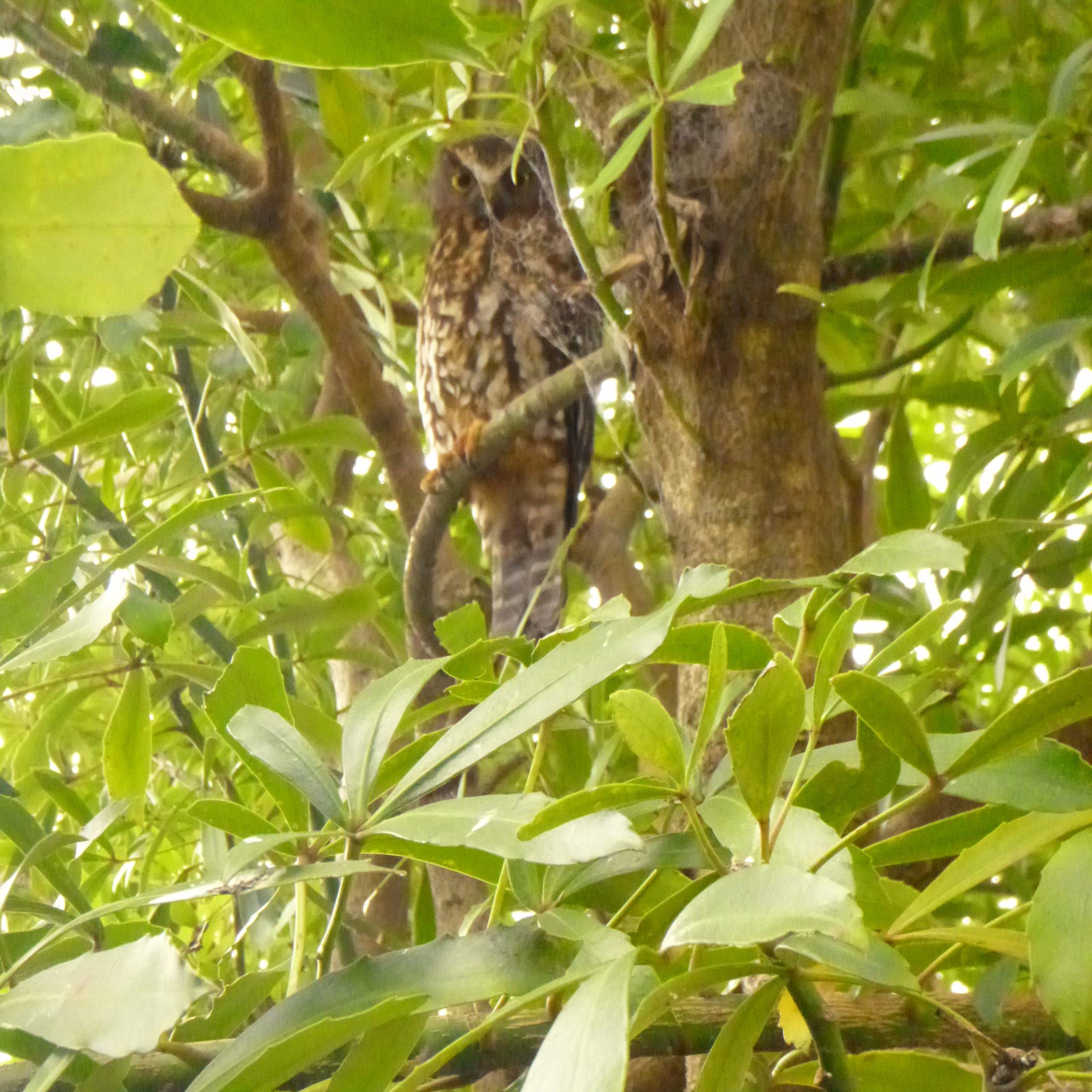 P1040384